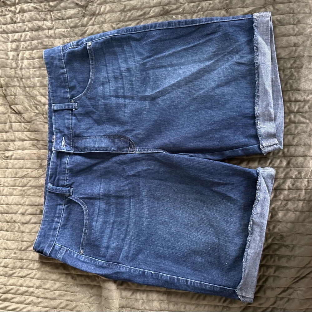 Melissa McCarthy Seven7 Dark and Light Denim Shorts